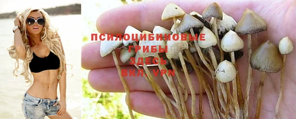 амф Алексеевка